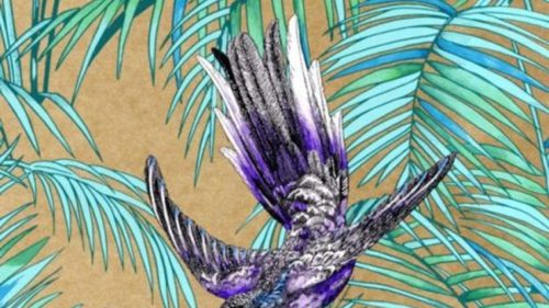 Sunbird W6543-07